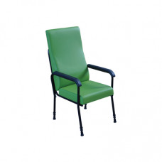 Longfield Lounge Chair (Green)